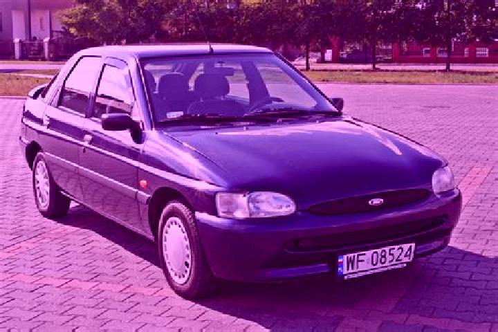 escort Wajak