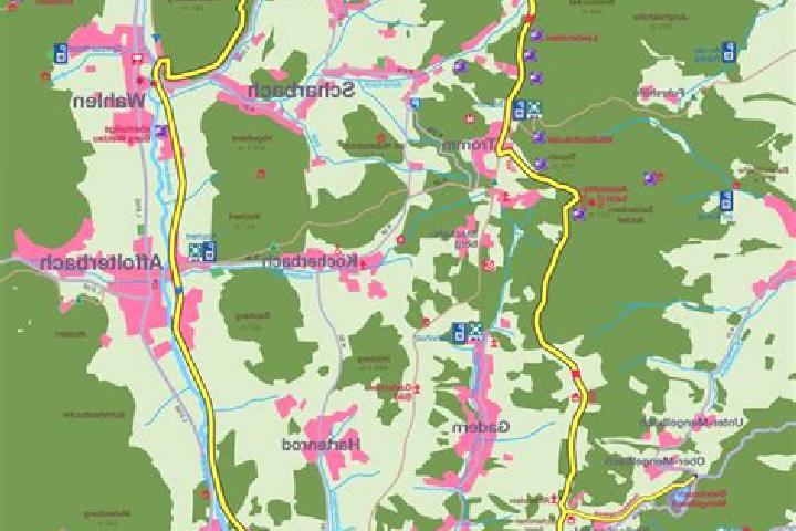 escort Wald-Michelbach
