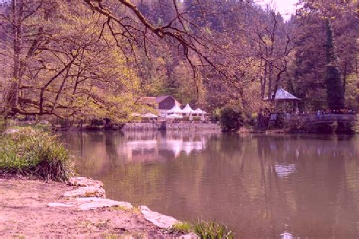 escort Waldsee