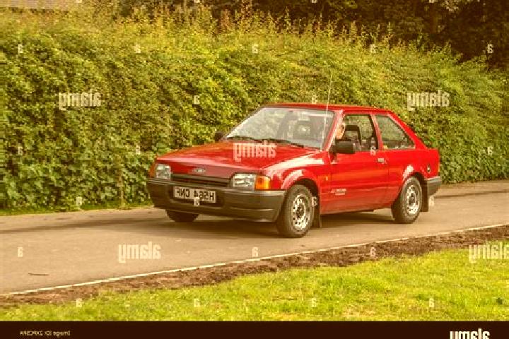 escort Wallendorf