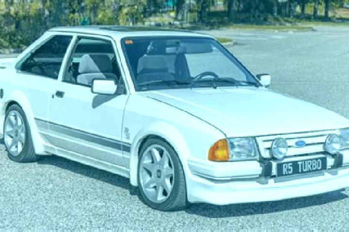 escort Wandi