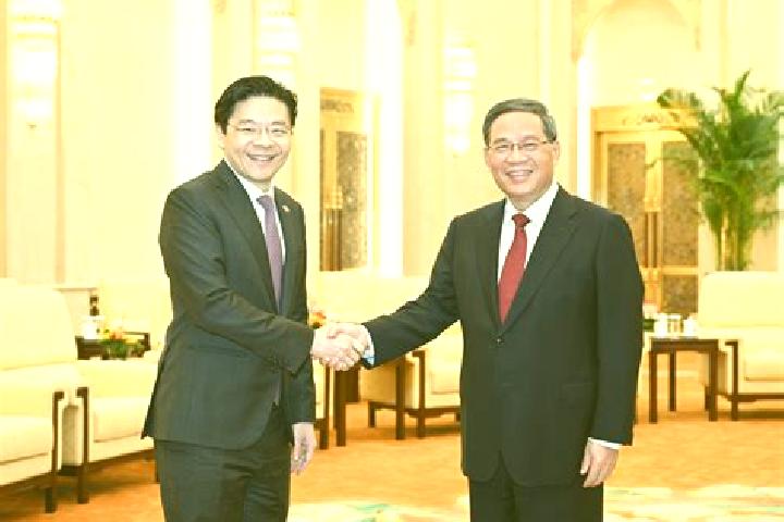 escort Wangyi Zhendian