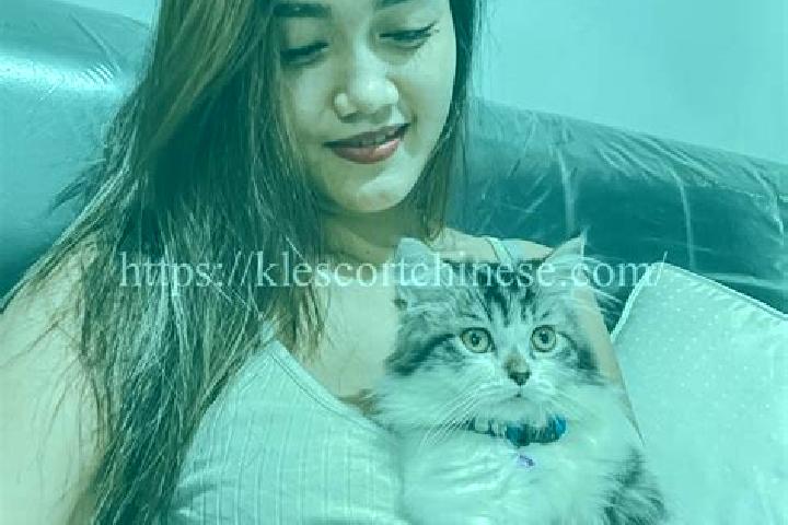 escort Wani