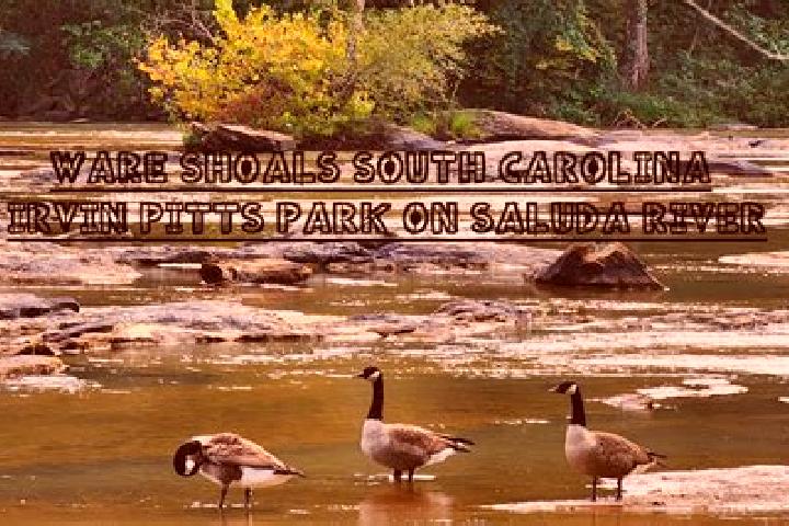 escort Ware Shoals