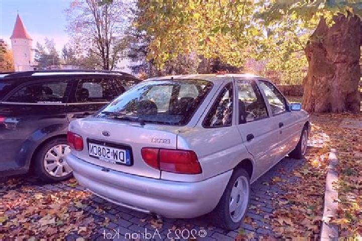 escort Wasbek