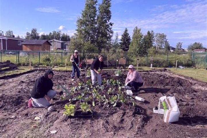 escort Waswanipi