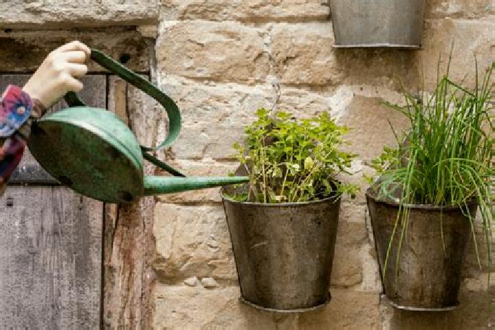 escort Watering Place