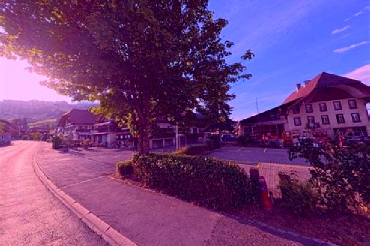 escort Wattenwil