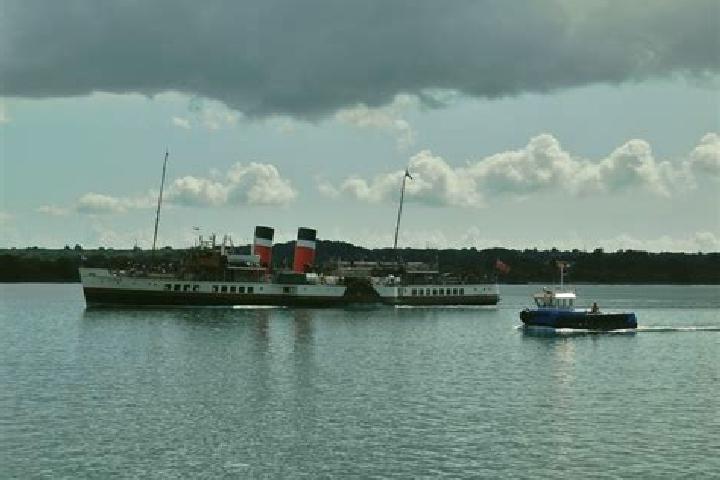 escort Waverley