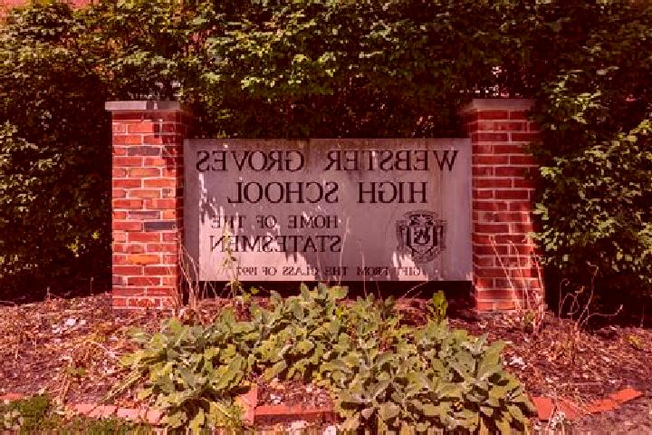 escort Webster Groves