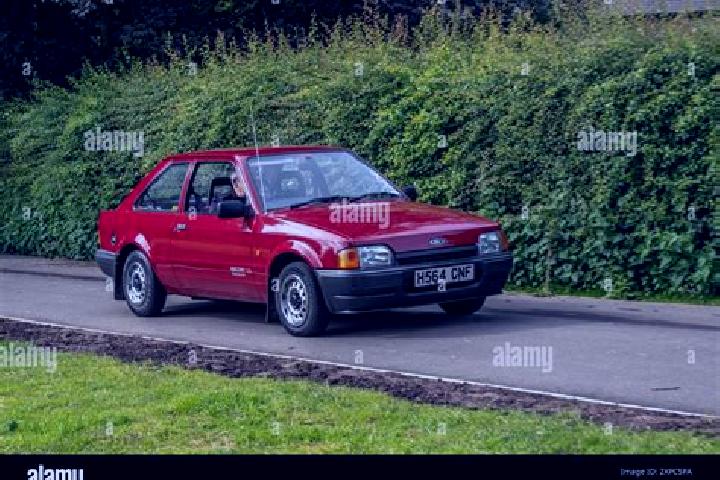 escort Wedderstedt