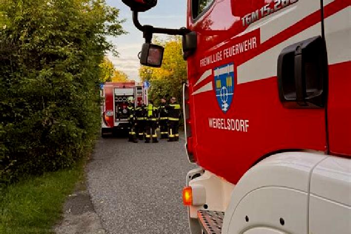 escort Weigelsdorf