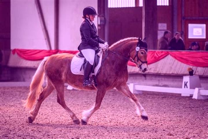 escort Weiten-Gesaess