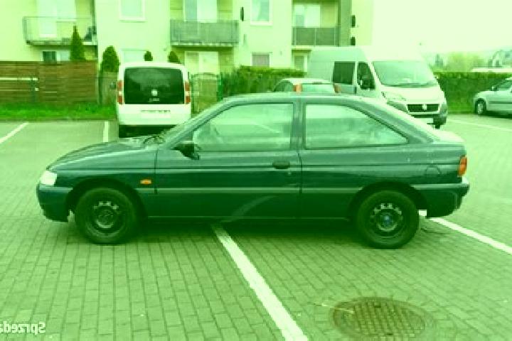 escort Wejherowo