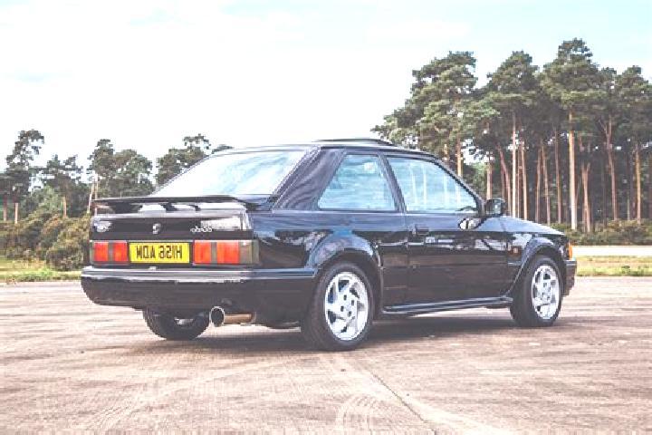 escort Wellard