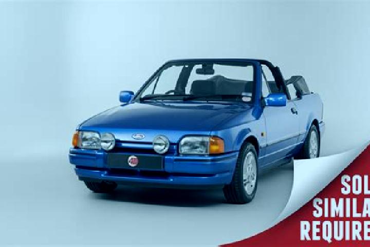 escort Wendelsheim
