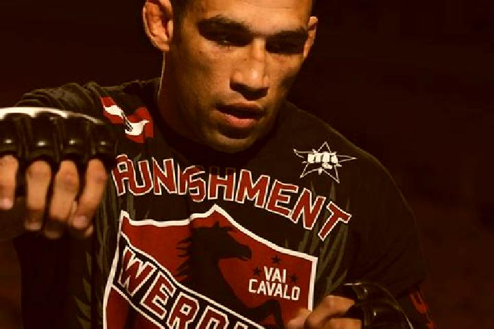 escort Werdum