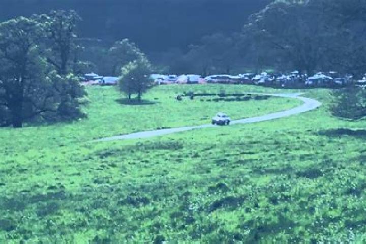 escort Werrington