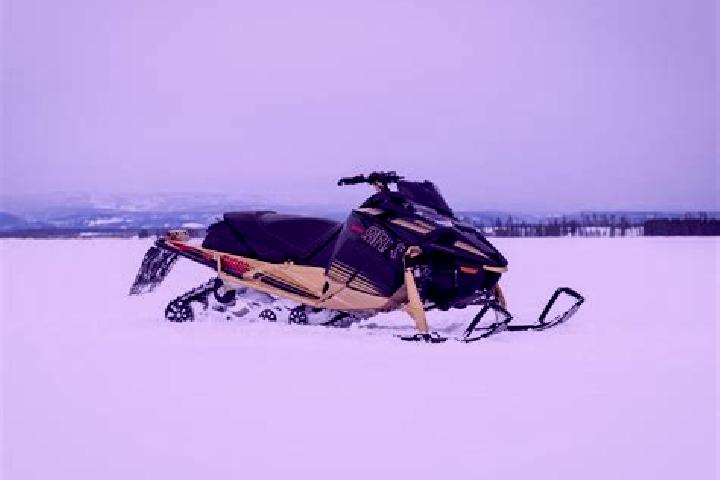escort West Ishpeming