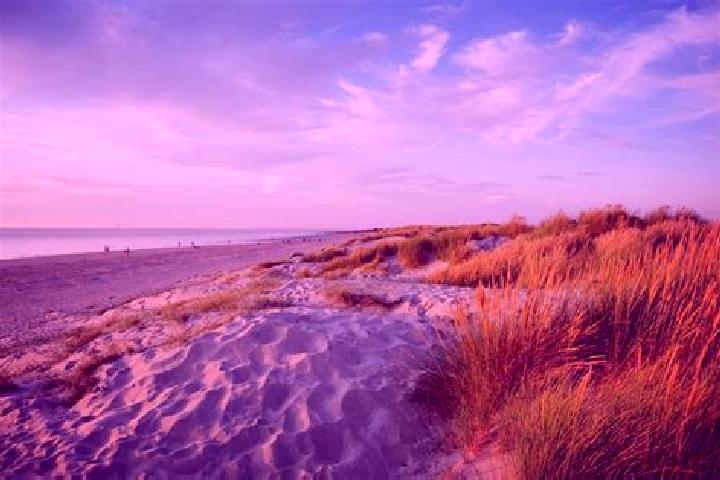 escort West Wittering