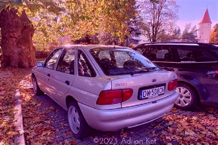 escort Westdorpe