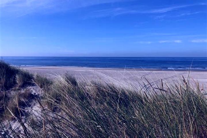 escort Westende