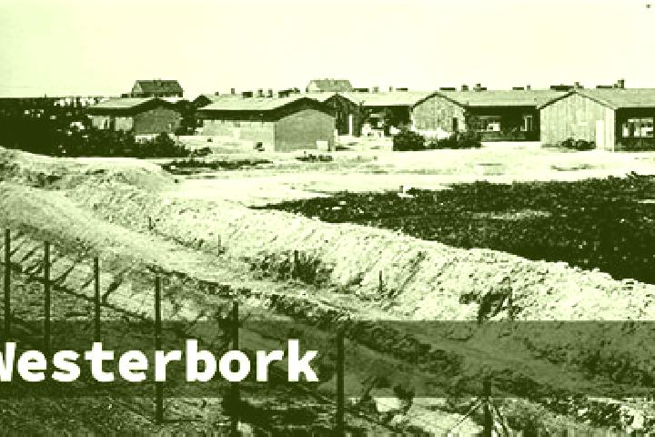 escort Westerbork