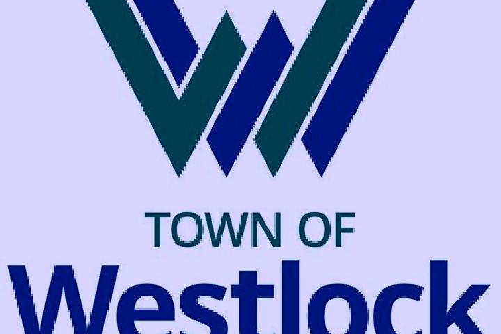 escort Westlock
