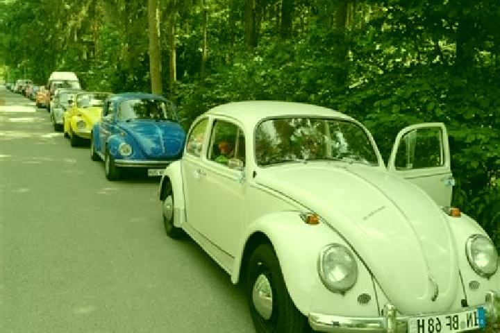 escort Wettstetten