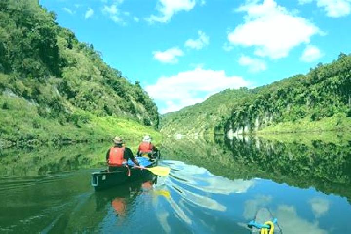escort Whanganui
