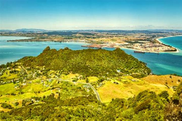 escort Whangarei Heads