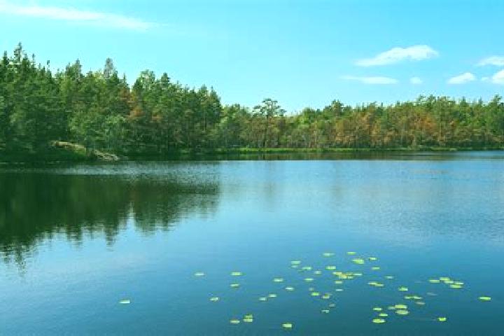 escort Whitmore Lake