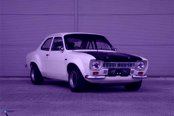 escort Wiesent