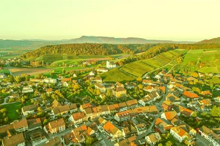 escort Wilchingen