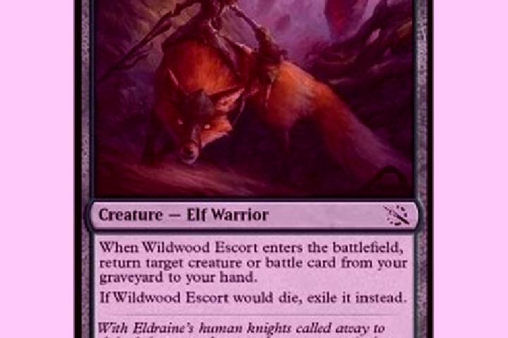 escort Wildwood
