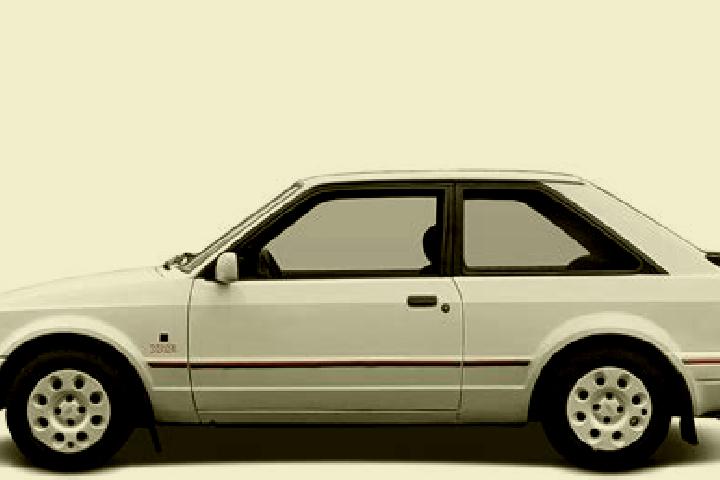 escort Willcox