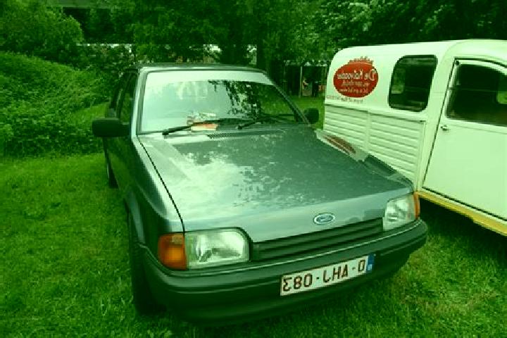 escort Wilsele