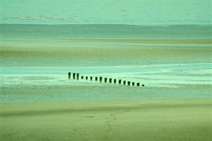 escort Winchelsea Beach