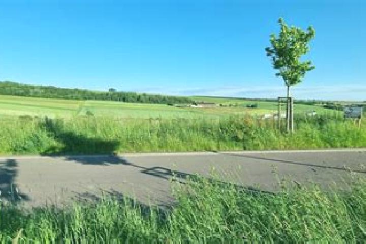 escort Wincheringen