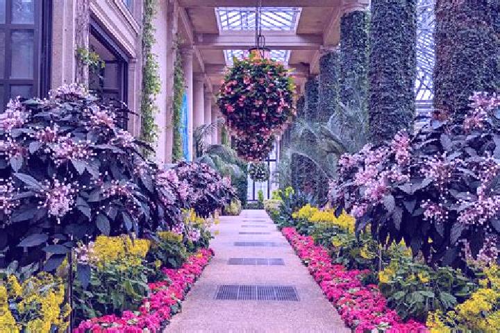 escort Winter Gardens