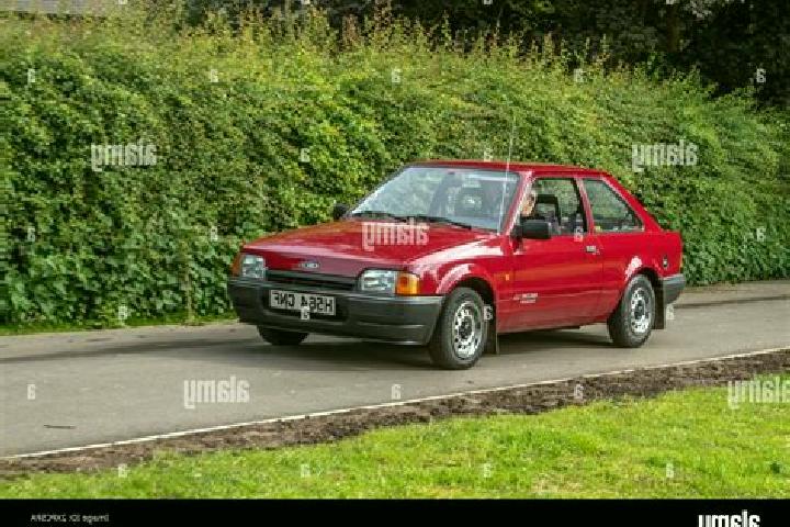 escort Witsum