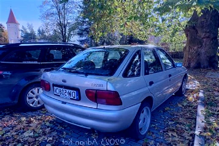 escort Wittdun