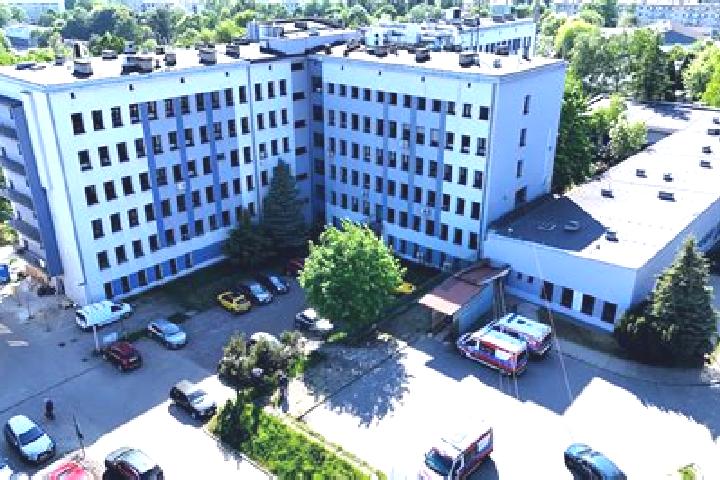 escort Wodzislaw Slaski