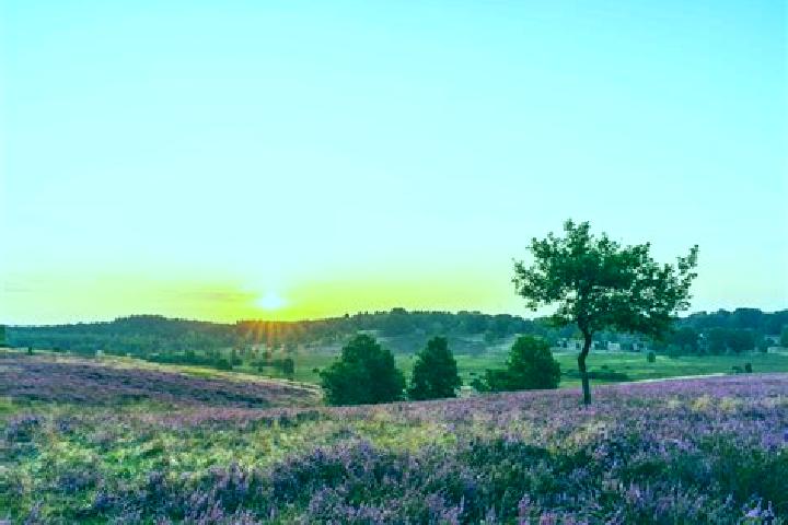 escort Woenselse Heide