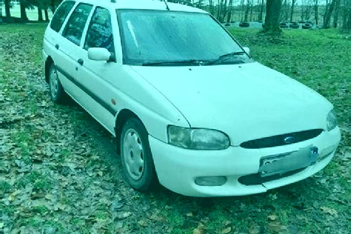 escort Wolbrom