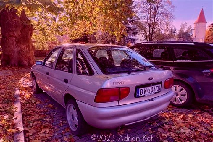 escort Wolkrange