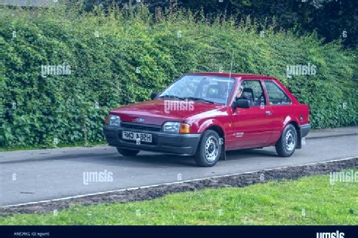 escort Wooler