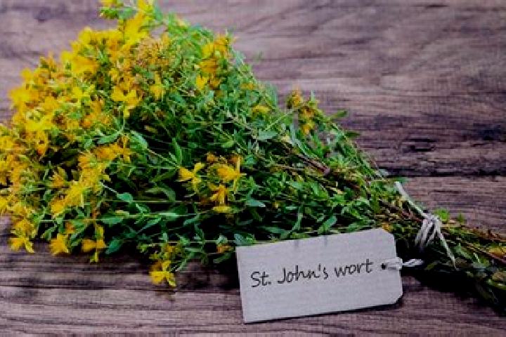 escort Wort
