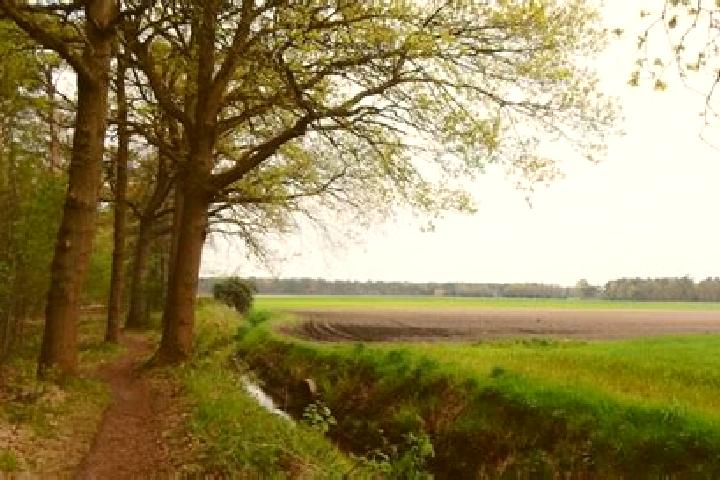 escort Wouwse Plantage