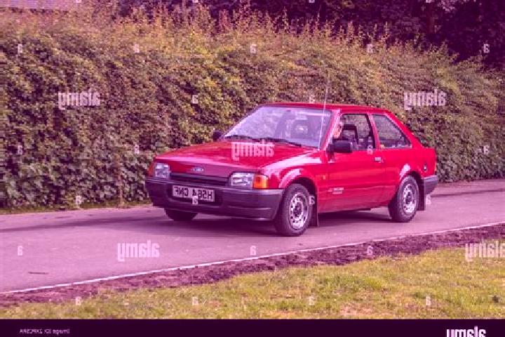 escort Wredenhagen
